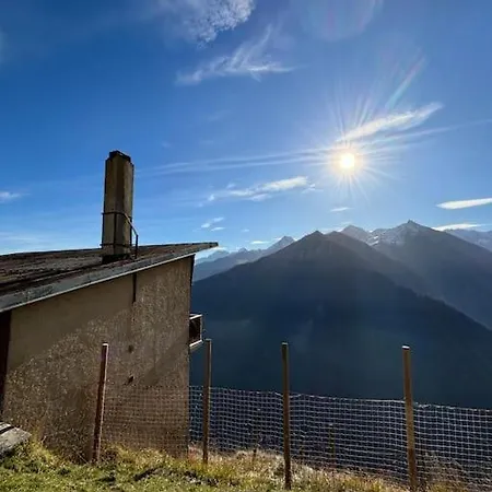 De L'ours - Pla D'adet