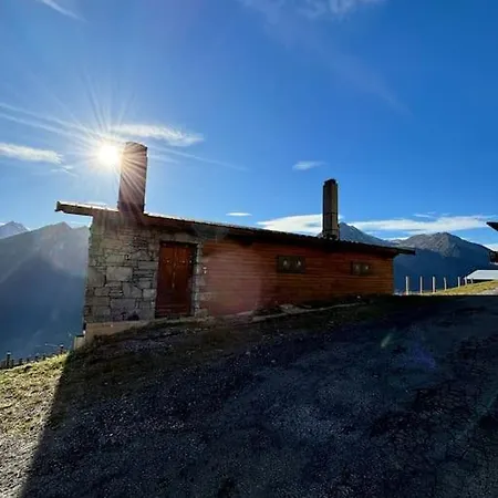 De L'ours - Pla D'adet *